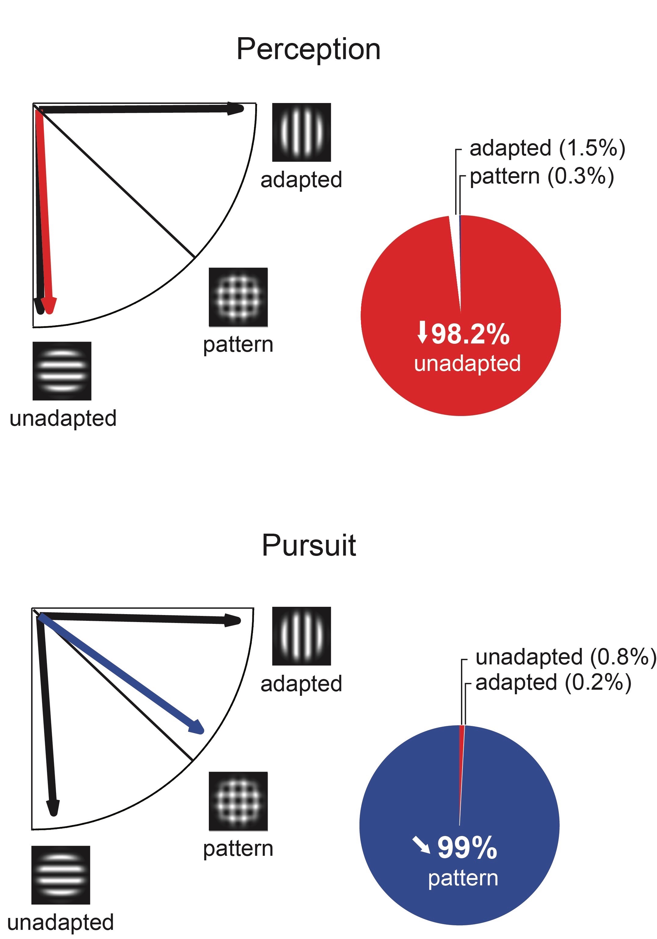 Eye Movement Perception